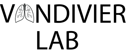 Vandivier Logo 2-1