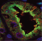 Miyazaki Lab Main Image