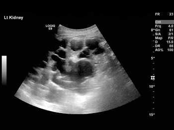 Chonchol Lab main image