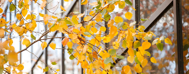 Campus.DC_3502_0610-_Welcome3