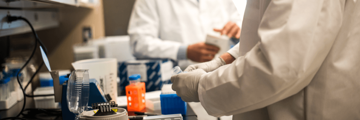 Scientists working at lab bench