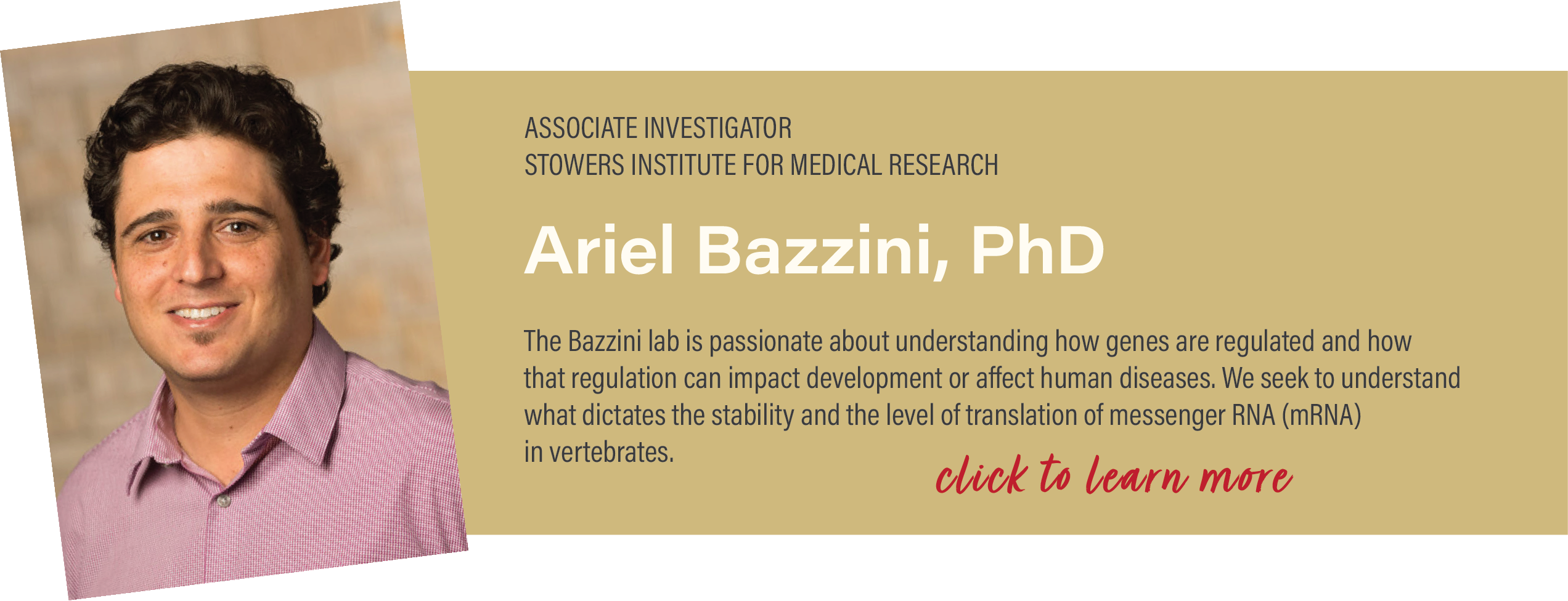 Bazzini