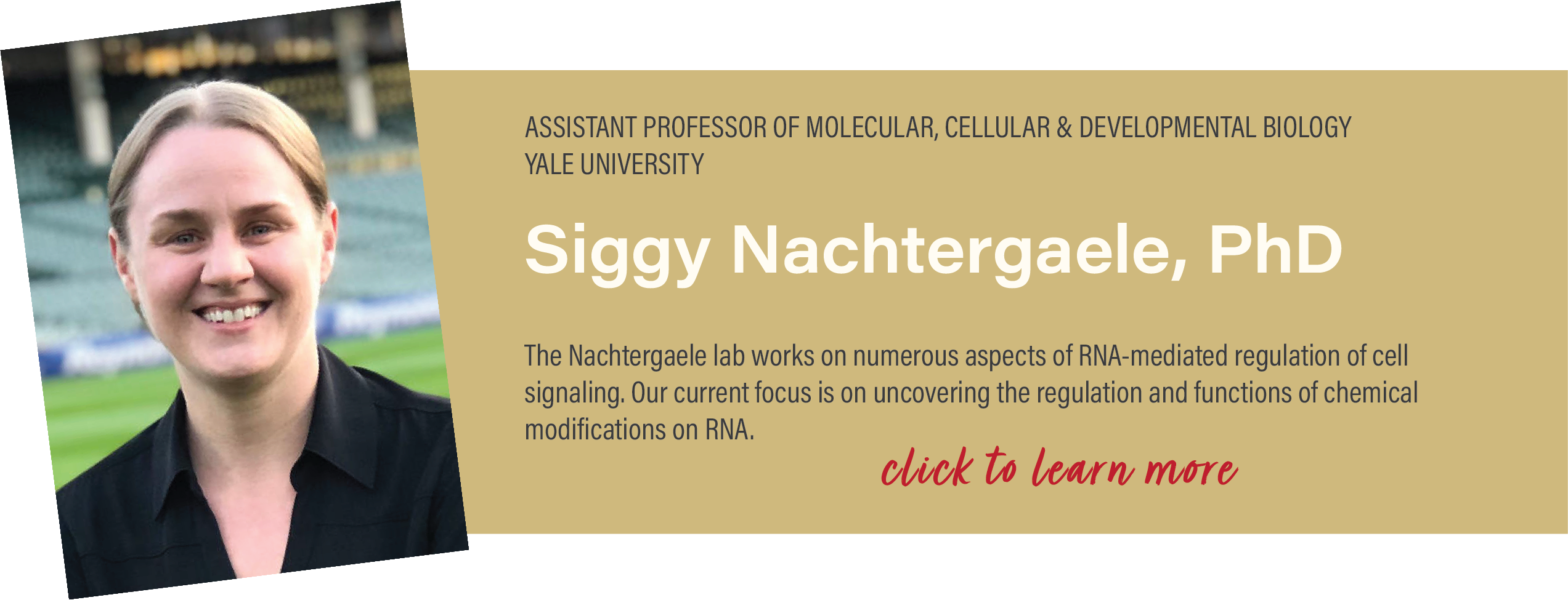 Siggy