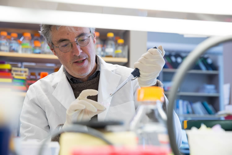 Dr. David Bentley in his lab