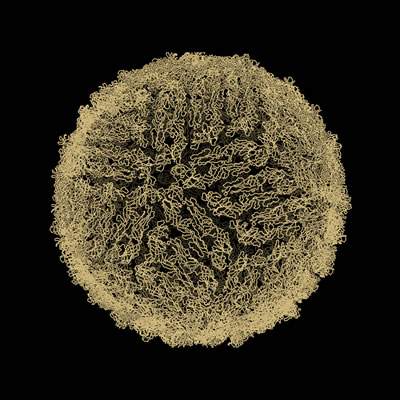 RNA and Disease