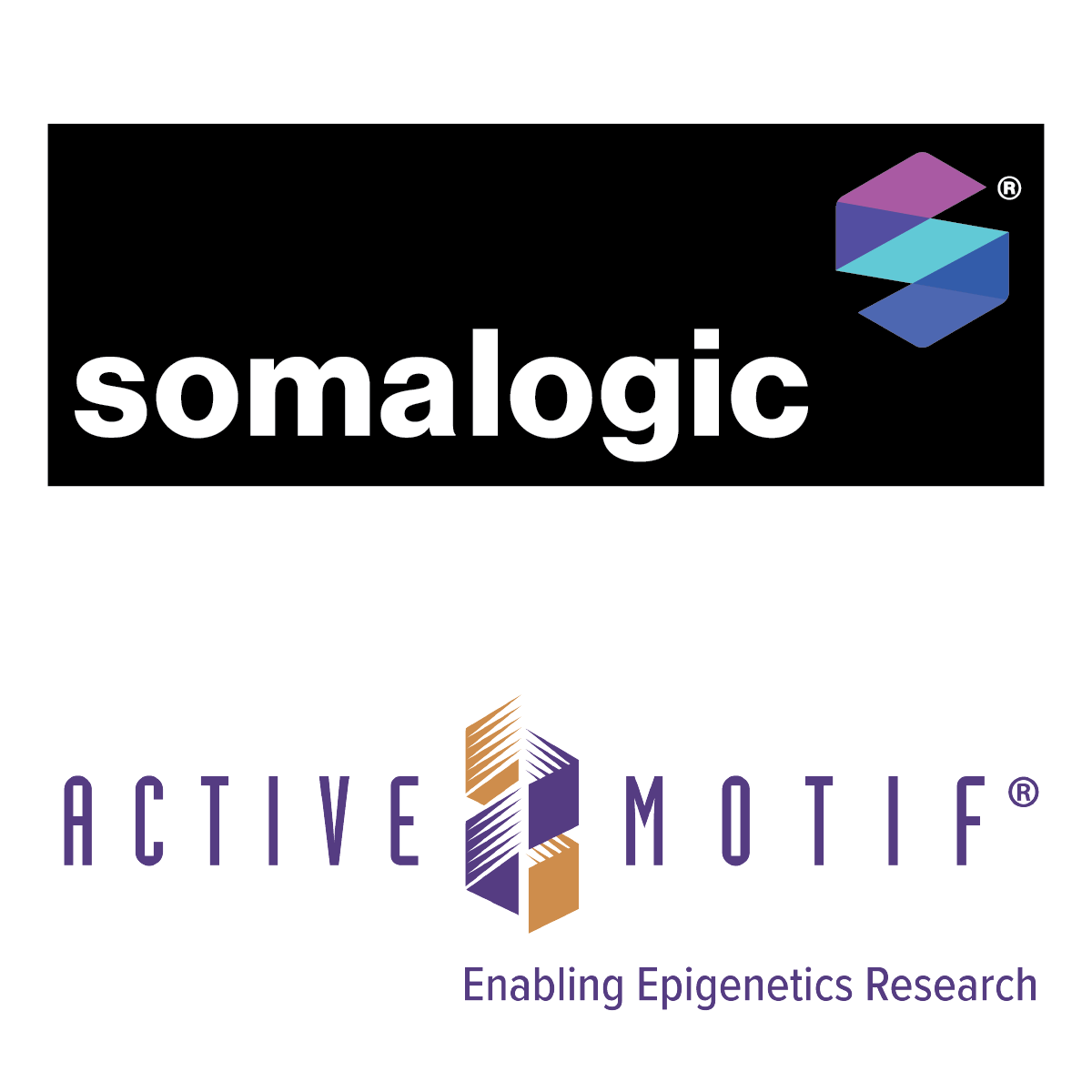 Active Motif