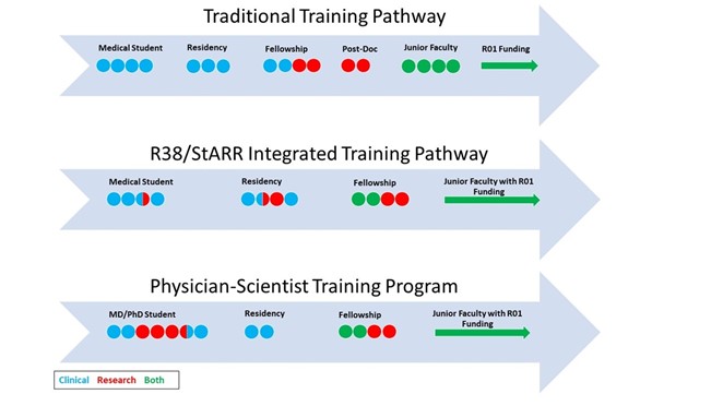 Training pathways Diagram of training pathways